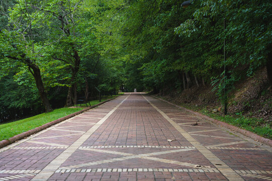 A brick walkway through a forested park. 