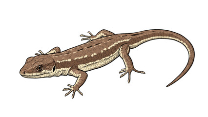 Naklejka premium Captivating gecko design with detailed scales and subtle striping, ideal for nature-themed branding or reptile enthusiast projects.