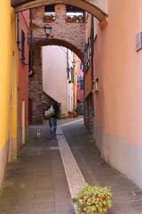 narrow street in the old town