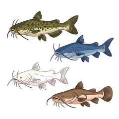 Fototapeta premium set of catfish