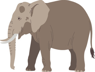 Fototapeta premium Minimalist Elephant Illustration – Flat Style Animal Design on White Background