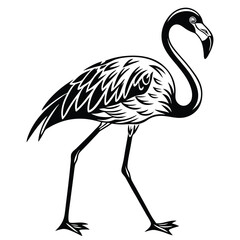 Elegant Flamingo Illustration with Detailed Feather Patterns and Sleek Silhouette in Black and White