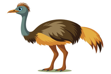 Cartoon Illustration of a Cassowary Bird in Profile on White Background