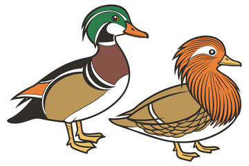 Two Cartoon Ducks Standing Side by Side with Different Colorful Plumage