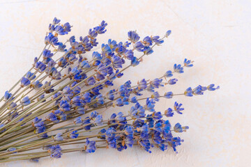 Lavender bouquet on soft background for aromatherapy, floral or rustic wellness concept