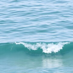 Obraz premium waves on the beach