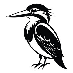 Monochrome Kingfisher Illustration Detailed Bird Art Striking Black and White Design Ornithology Inspired Artwork