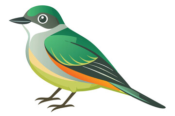 Colorful Bird Illustration with Green Feathers and Orange Accents Standing Gracefully on Slender Legs