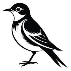 Elegant Black and White Illustration of a Songbird with Detailed Feather Markings and Sleek Design