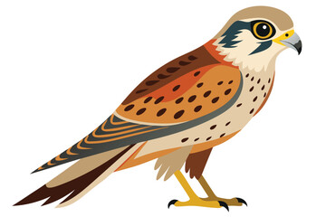 Detailed Vector Illustration of a Kestrel Bird with Brown, Tan, and Yellow Plumage