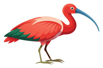 Scarlet Ibis Bird Illustration Standing Profile View on White Background