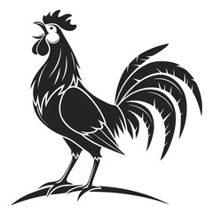 rooster vector illustration