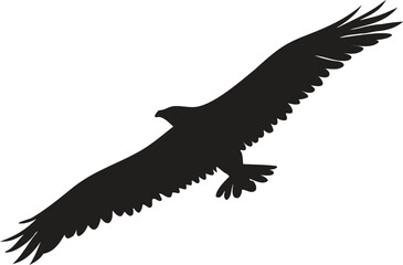 Obraz premium Silhouette of a majestic eagle in flight with wings spread wide isolated on transparent background