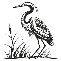 Elegant Heron Silhouette Standing Tall Amongst Reeds in a Wetlands Marsh Environment