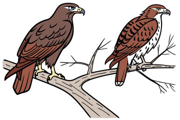 Two Birds of Prey Perched on Tree Branches Artwork Depiction