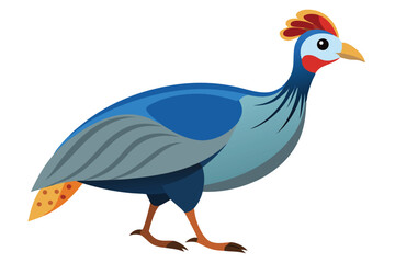 Colorful Vulturine Guineafowl Illustration with Striking Plumage and Distinctive Head Crest Isolated