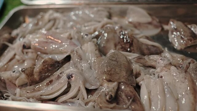 Close-up of raw squid on ice in seafood market tray in El Nido, Philippines. Squid with visible tentacles displayed raw on ice at El Nido seafood market