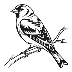 Elegant Monochrome Sparrow Perched on a Branch Detailed Vector Illustration Bird Drawing