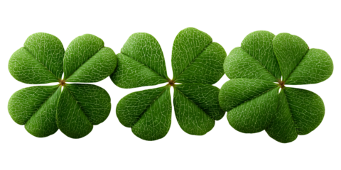 Three vibrant green four leaf clovers in a row against black background Concept of good luck, Irish tradition, and St Patricks Day celebration