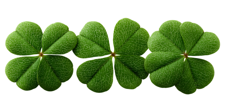 Three vibrant green four leaf clovers in a row against black background Concept of good luck, Irish tradition, and St Patricks Day celebration - Powered by Adobe