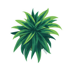 Fototapeta premium plant isolated in White Background, plant vector, Flat lay vector illustration