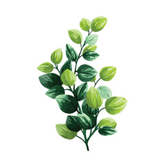 Obraz premium plant isolated in White Background, plant vector, Flat lay vector illustration