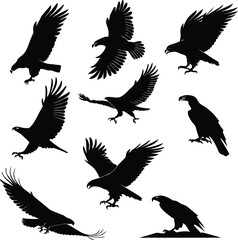 Obraz premium Set of Eagle Silhouettes in Flight and Attack Poses – Vector Illustration
