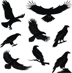 Fototapeta premium Set of Eagle Silhouettes in Flight and Attack Poses – Vector Illustration