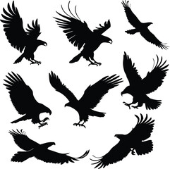 Obraz premium Set of Eagle Silhouettes in Flight and Attack Poses – Vector Illustration