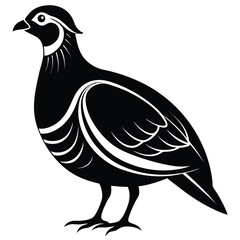 Stylized Black and White Quail Illustration Graceful Bird Design with Intricate Feather Details and Elegant Form Perfect for Prints