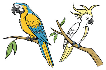 Colorful Cartoon Parrots Perched on Branches in a Playful and Vibrant Composition Depicting Nature's Exotic Beauty