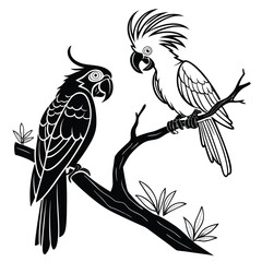 Monochrome Illustration of Two Cockatoos Perched on a Branch with Foliage Beautifully Outlined Against a White Background Black and White Artwork