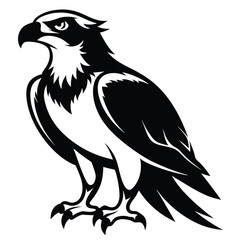 Majestic Osprey Illustration with Sharp Claws and Intense Gaze A Bold Emblem of Power and Precision in Black and White