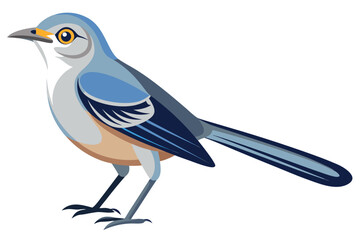Illustration of a Northern Mockingbird Perched Showing Off its Unique Blue, Gray, White, and Tan Plumage in a Detailed Vector Image