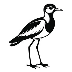 Striking Northern Lapwing Illustration A Detailed Black and White Depiction of a Shorebird in Exquisite Artistic Style