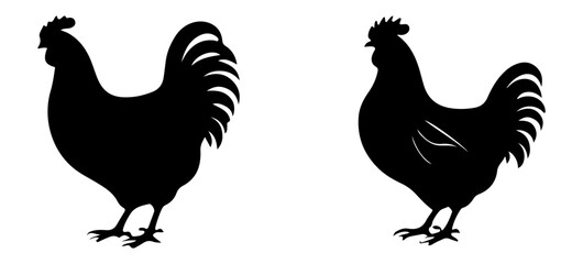Rooster Cock Farm Bird Vector Illustration