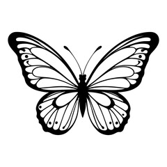Beautiful Butterfly Insect Top View Vector