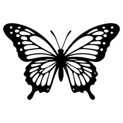 Beautiful Butterfly Insect Top View Vector