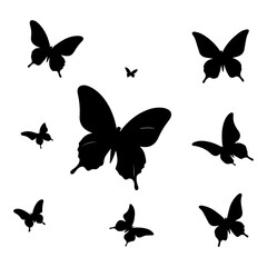 Beautiful Butterfly Insect Top View Vector