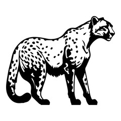 Fast Cheetah Big Cat Vector Illustration