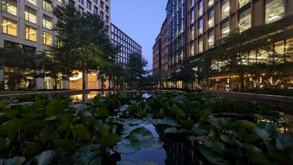 Night view of London over water with lily pads