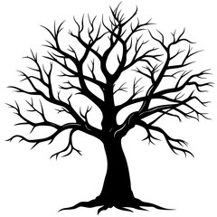 Obraz premium Dead tree silhouette 