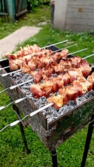 succulent barbecue, meat skewers in a private house, outdoor picnic with grilled meat for a wonderful holiday