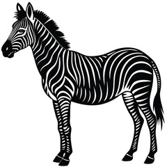 Fototapeta premium a zebra in side profile with detailed body shape and upright mane, minimalist vector illustration isolated on white background