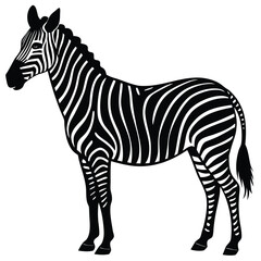 Fototapeta premium a zebra in side profile with detailed body shape and upright mane, minimalist vector illustration isolated on white background