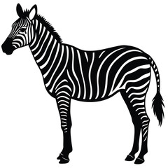 Obraz premium a zebra in side profile with detailed body shape and upright mane, minimalist vector illustration isolated on white background