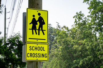 View of school crossing warning sign on pole.