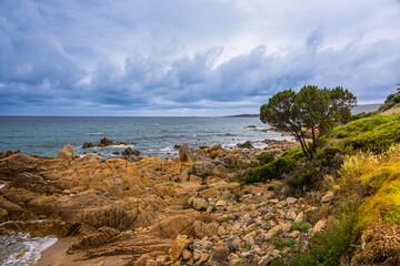 Côte méditerranéenne à Olmeto en Corse du Sud en France