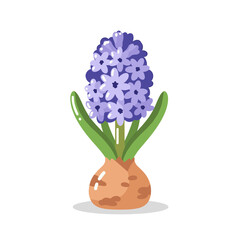 Hyacinth – Jelly Candy Vector Icon from Set03