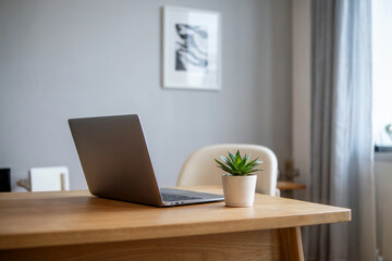 Fototapeta premium Laptop Left Succulent Right Minimal Desk